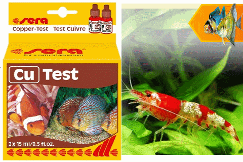 Test Cu Sera Đức